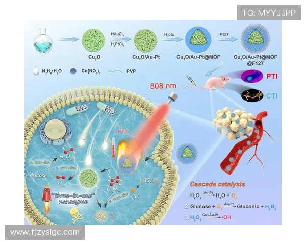 深入探讨上海篮球队的技术表现与数据分析的关键因素及其影响